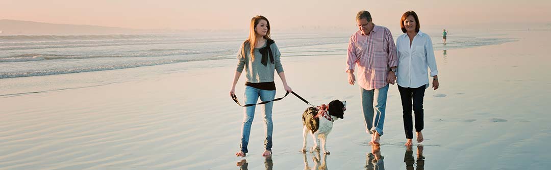 Family walking on the beach with a dog