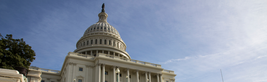 The capitol building