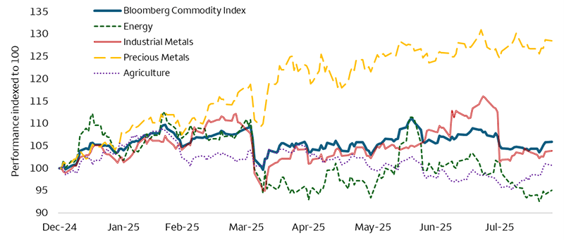 This chart shows the commodity sector performances year-to-date. As of August 25, Precious Metals were the top performer with a 28.4% return, Industrial Metals were second with a 3.9% return, Agriculture was up 0.6%, and Energy was the worst performer with a -4.9% return. The Bloomberg Commodity Index was up 5.9%.