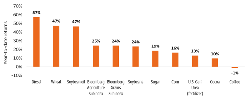 This bar chart shows the year-to-date (as of August 31, 2026) price return for various agricultural commodities and inputs: Diesel (57%), Wheat (47%), Soybean oil (47%), Bloomberg Commodity Agriculture Index (25%), Grains (24%), Soybeans (24%), Sugar (19%), Corn (16%), Fertilizer (13%), Cocoa (10%), and Coffee (-1%).