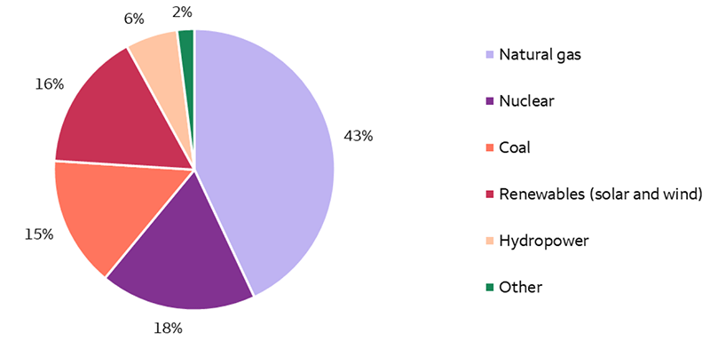 Natural gas is the largest source of power generation in the U.S., representing 43% of the U.S. power generation mix in 2024. Other significant sources of power generation are renewables (16%), nuclear (18%), coal (15%), and hydropower (6%).