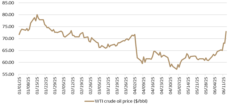 Oil prices have generally been in decline throughout 2025 year to date. The escalating conflict between Iran and Israel has caused this trend to reverse, with prices reaching $72.98 on June 13, up from $60.79 at the end of May.
