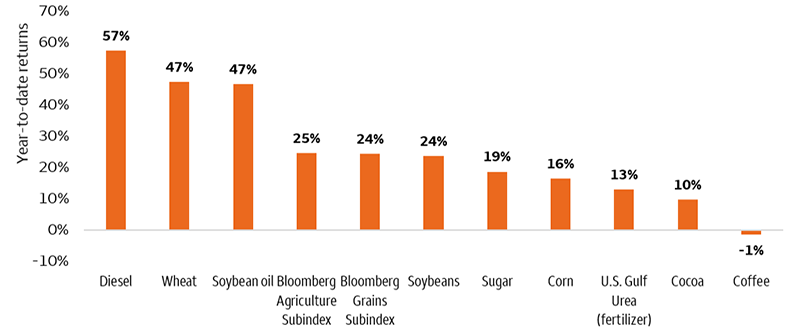 This bar chart shows the year-to-date price return for various agricultural commodities and inputs: Diesel (57%), Wheat (47%), Soybean oil (47%), Bloomberg Commodity Agriculture Index (25%), Grains (24%), Soybeans (24%), Sugar (19%), Corn (16%), Fertilizer (13%), Cocoa (10%), and Coffee (-1%).