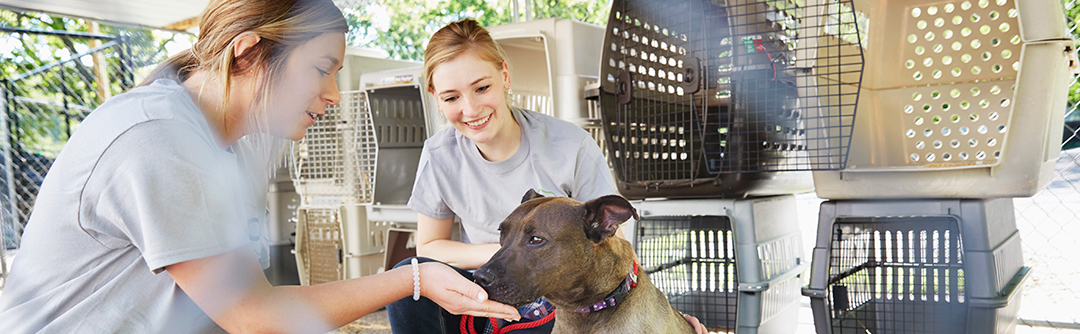 Two young women are petting a dog.